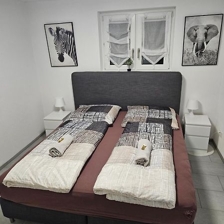 Schoene Einliegerwohnung 200M Vom Wasser Entfernt ชไตน์ อัม ไรน์ ภายนอก รูปภาพ