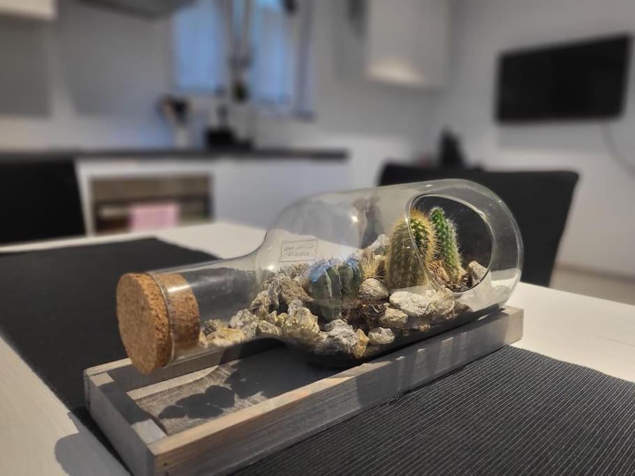 Schoene Einliegerwohnung 200M Vom Wasser Entfernt ชไตน์ อัม ไรน์ ภายนอก รูปภาพ