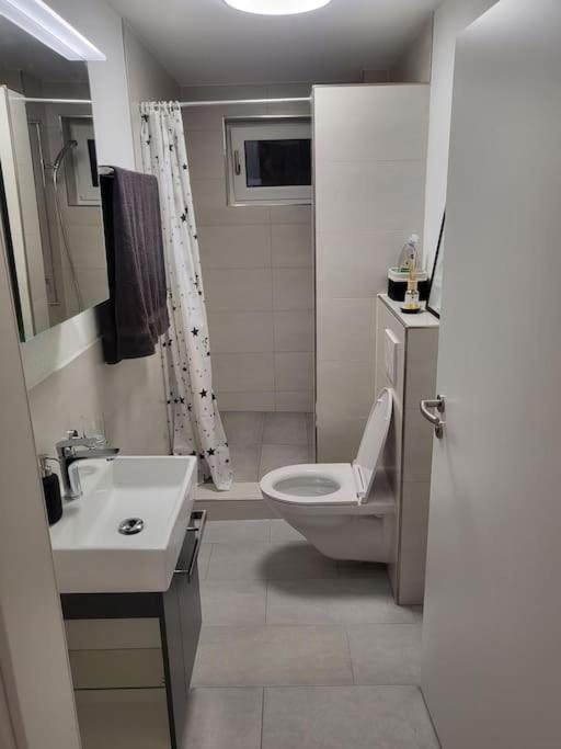 Schoene Einliegerwohnung 200M Vom Wasser Entfernt ชไตน์ อัม ไรน์ ภายนอก รูปภาพ