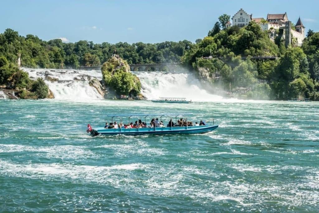 Schoene Einliegerwohnung 200M Vom Wasser Entfernt ชไตน์ อัม ไรน์ ภายนอก รูปภาพ