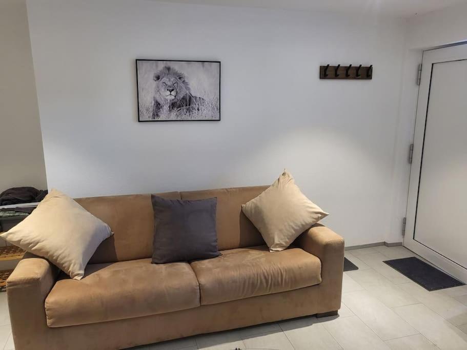Schoene Einliegerwohnung 200M Vom Wasser Entfernt ชไตน์ อัม ไรน์ ภายนอก รูปภาพ