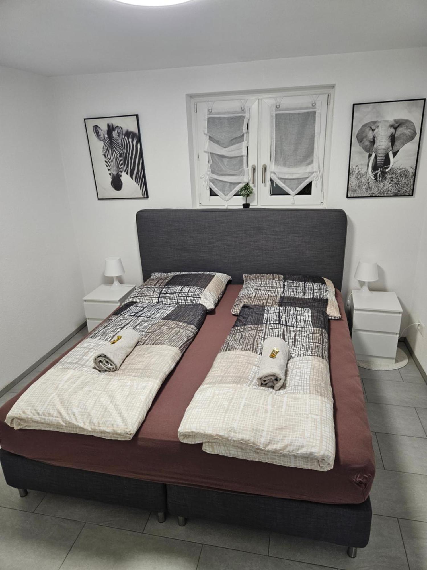 Schoene Einliegerwohnung 200M Vom Wasser Entfernt ชไตน์ อัม ไรน์ ภายนอก รูปภาพ